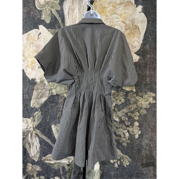 New Anthropologie The Tobie Button-Front Pleated Shirt Dress by Exquise Mini Lar - Picture 8 of 9